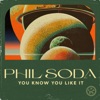 You Know You Like It (Extended Mix) - Single