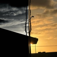 ostrich - Single - YAXIS