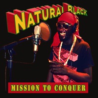 Mission To Conquer