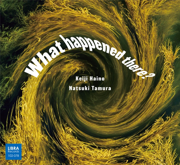 What happened there? - 田村夏樹 & 灰野敬二のアルバム - Apple Music