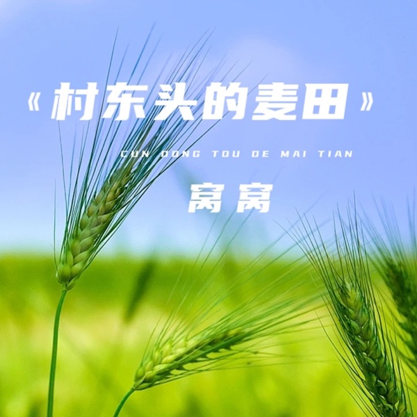 村东头的麦田 - Single