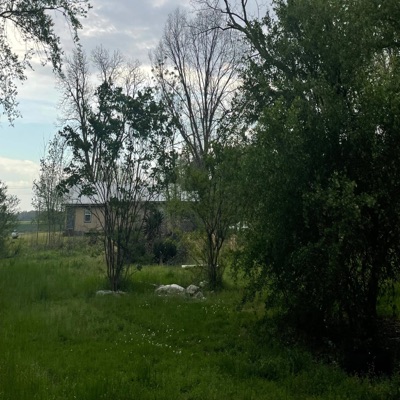 iCarly/This Really Just The Start - Single