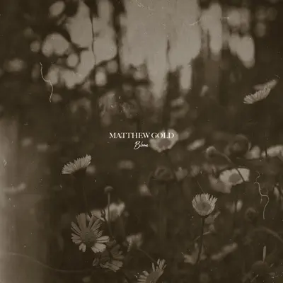 Ascolta 'Bloom - Single' di Matthew Gold