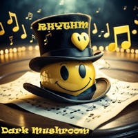 dark mushroom - Rhythm