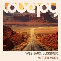 Not Too Much - Single - Yves Eaux & Glorionix