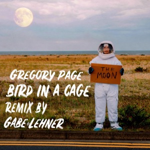 Bird In A Cage - Single