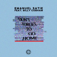 Don't Forget to Go Home - Single - Emanuel Satie