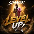 Level Up