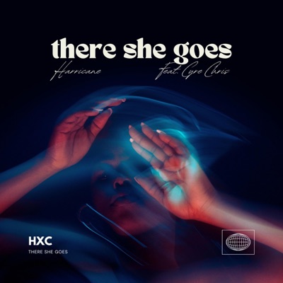 There She Goes - Single