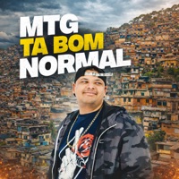 MTG Ta bom normal - Single - DJ Lerri 22