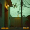 Akwasi Sage - Small Joy artwork
