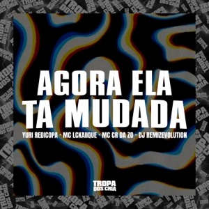 Agora Ela Ta Mudada (feat. MC CR DA ZO & DJ REMIZEVOLUTION)