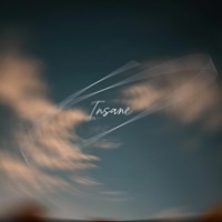 Insane - Single - Dylan Lyons