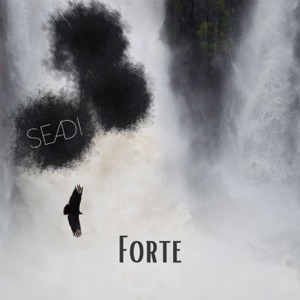 Forte - Single