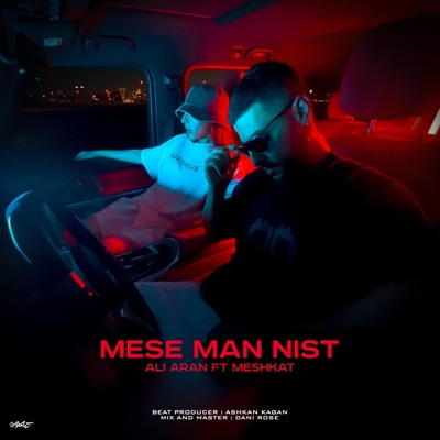 Mese Man Nist (feat. Meshkat) - Single