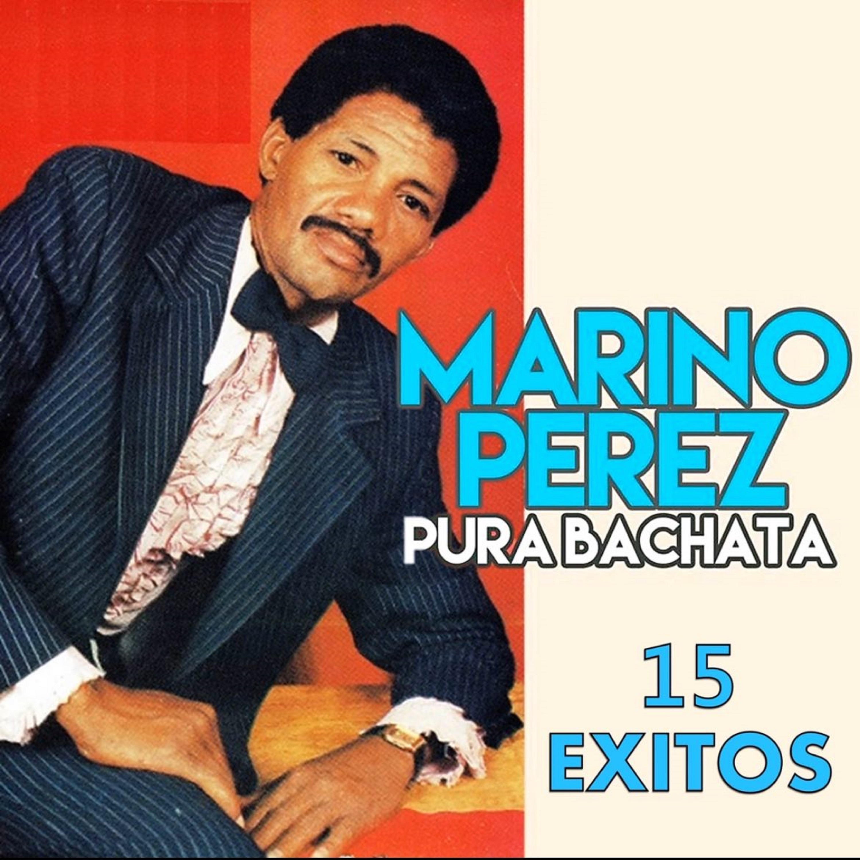Pura Bachata 15 Éxitos
