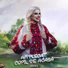 Am plecat copil de acasă Sandra N.