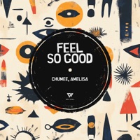 Feel So Good - Single - Chumee & Amelisa