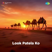 Look Patela Ko - Single - Gajendra Ajmera