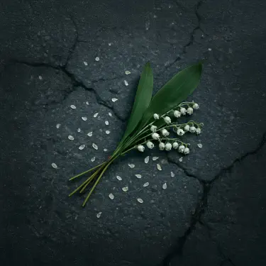 Привет (Из сериала "Ландыши. Вторая весна")