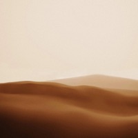 settle - Single - Kichiro