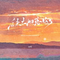 后来太阳落山了 - Single - 大可