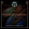 VINTAGE CULTURE/BRAEV/NIHIL YOUNG - Time