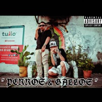 Perros y Gallos (feat. Lil Samy Msc) - Single - Flakkk1602