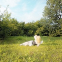 Только любить - Single - тянка