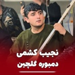 دمبوره گلچین - EP