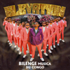 Bilenge Musica Du Congo & Darzee Kalend - Elevation artwork