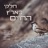 חלקי בארץ החיים