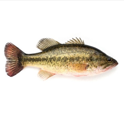 'n Guter Tag (feat. Lil Barsch, Lil Kopyto, MC Xaver & Young Aalfisch) - Single