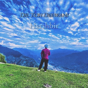 Dil Toh Deewani