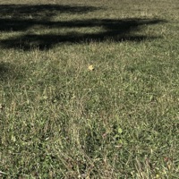 Moi non plus - Single - Lio21