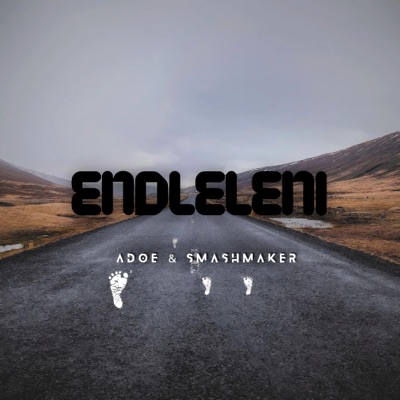 Endleleni (feat. Smashmaker) - Single