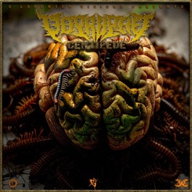 Melancholy Odprophet