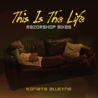 This Is the Life (Razorshop Mixes) - Single