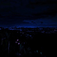 Tea before bed - Single - ønyxi