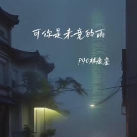 可你是未竟的雨 P40林康鉴
