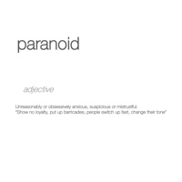 paranoid (feat. Brezie) - Single - Verse