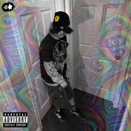 DON'T WANNA SEE (feat. Kowa Mirai) Something About