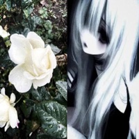 hajdanan - Single - zsibbadt