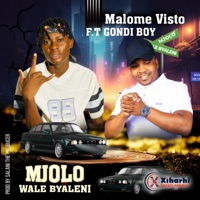 Mjolo wale byaleni (feat. Gondi boy) - Single - MALOME VISTO