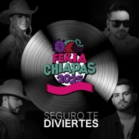 SEGURO TE DIVIERTES (feat. Enrique Virrueta, Juan Caly, Armando Navárrez & Ingrid Alvareza) - Single - VIRRUETAMUSIC SONG´S