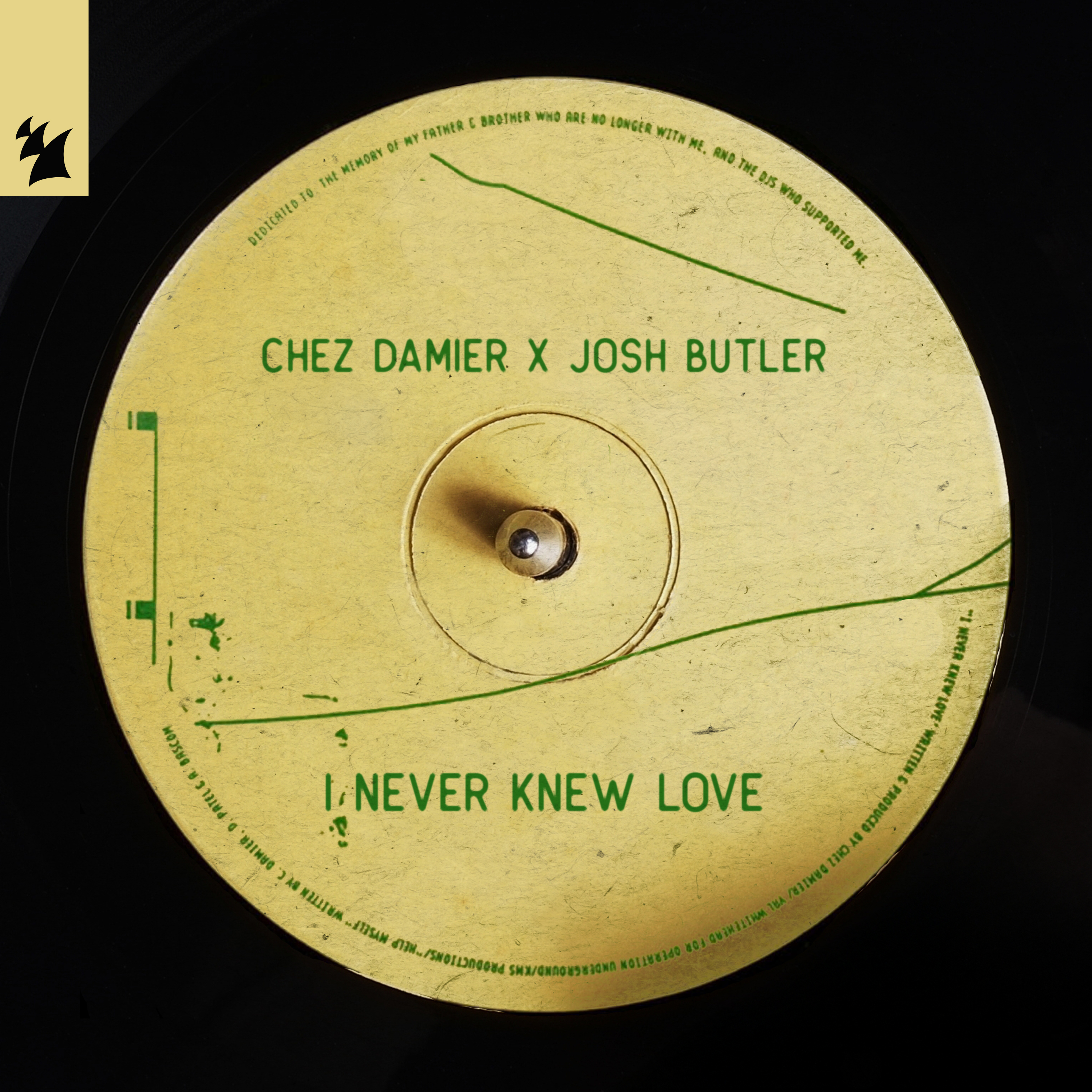 I Never Knew Love - Single