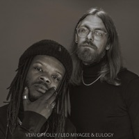 VEIN OF FOLLY - Leo Miyagee & Eulogy