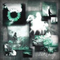 ECHO z BARVY - Single - Zaimo