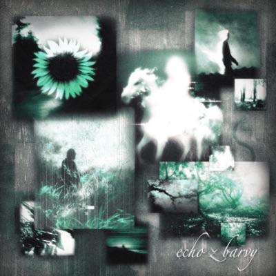 ECHO z BARVY - Single