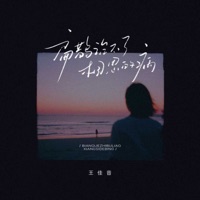 扁鹊治不了相思的病 - Single - 王佳音